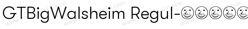 GTBigWalsheim Regul字体转换